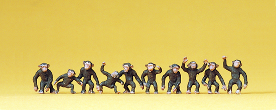 Animaux de cirque : 10 singes