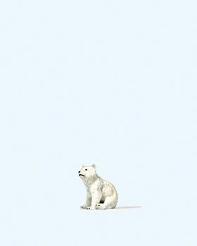Jeune ours polaire